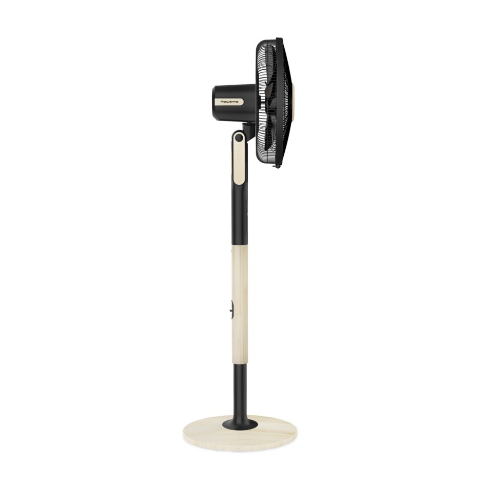 Rowenta Turbo Silence Extreme+ VU5880 Noir, Bois