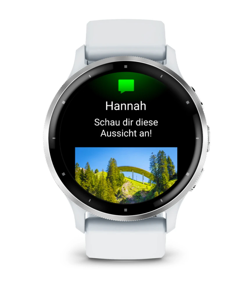 Smartwatch GARMIN Venu 3 Whitestone