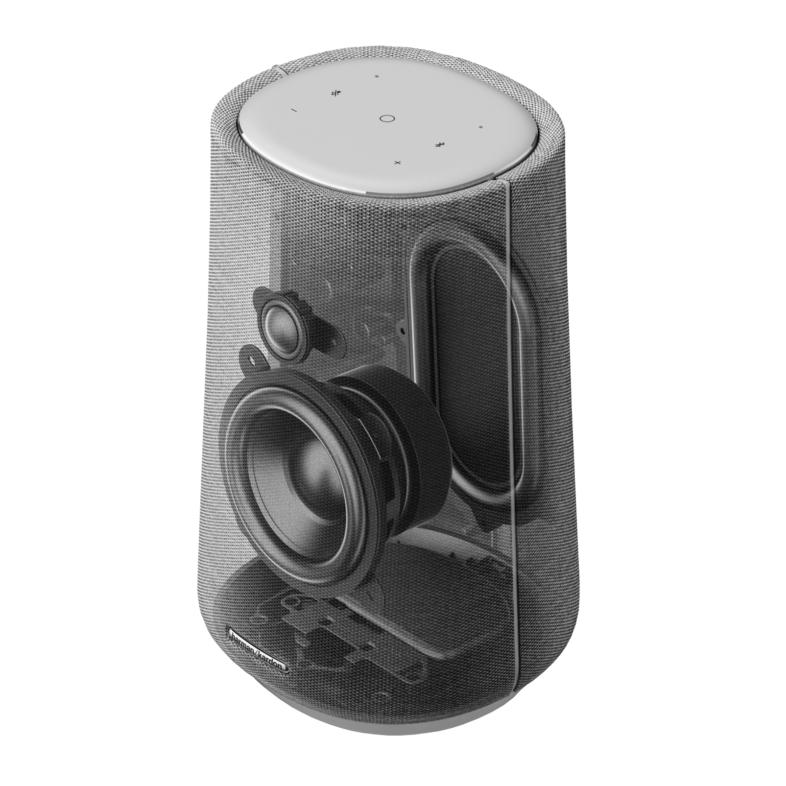 Multiroom speaker Harman Kardon Citation 100 MKII grijs