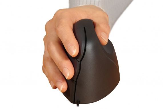 Bakker Elkhuizen Souris BNEEVSR
