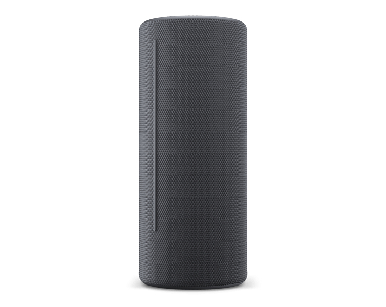 Bluetooth speaker We by Loewe HEAR1 Storm Grey