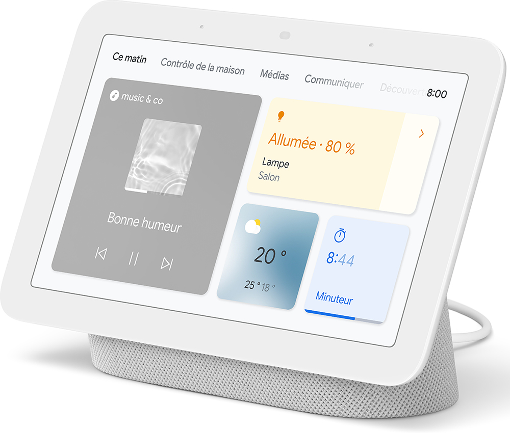 GOOGLE NEST NEW HUB ROCK CHALK