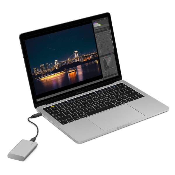 LaCie Portable Externe SSD 1TB Moon Silver