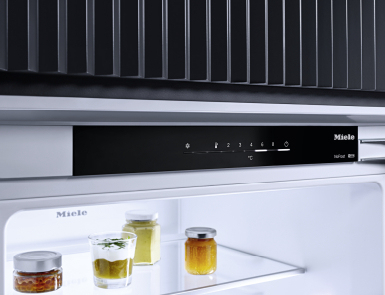 Combi Koelkast BI MIELE KDN7724 E / 178cm / 260L / E / dod