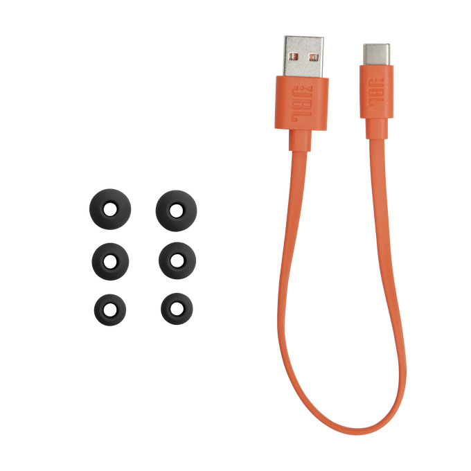 Oordopjes JBL Endurance Run 2 BT zwart