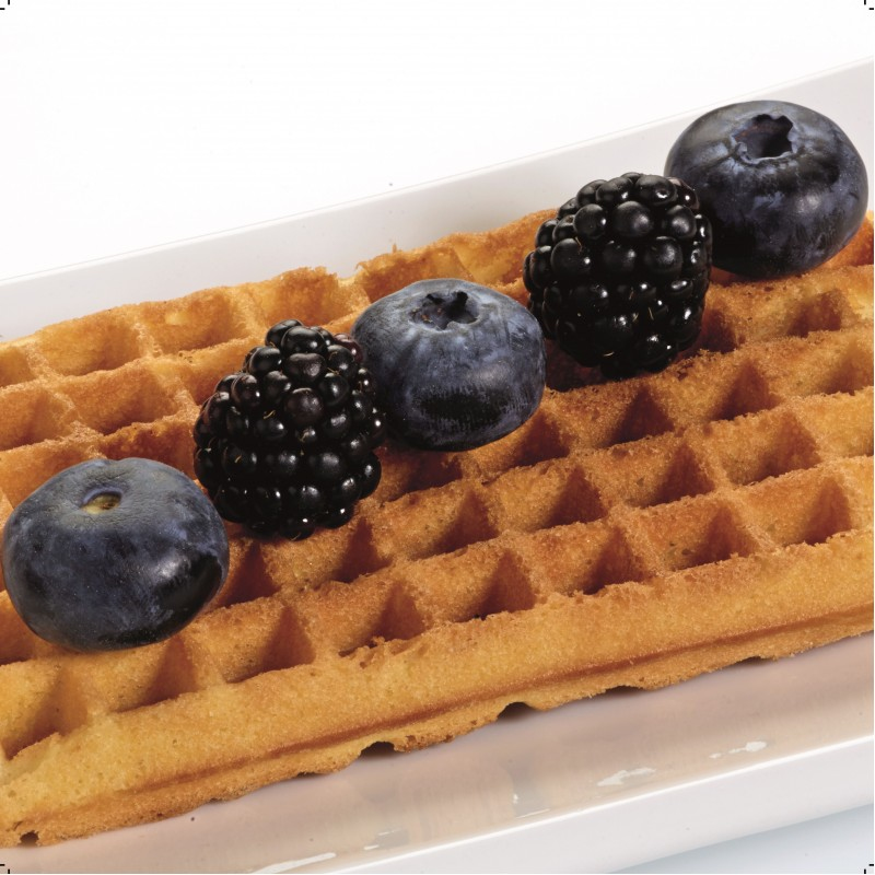 Fritel plaques gaufres traditionel 6X10
