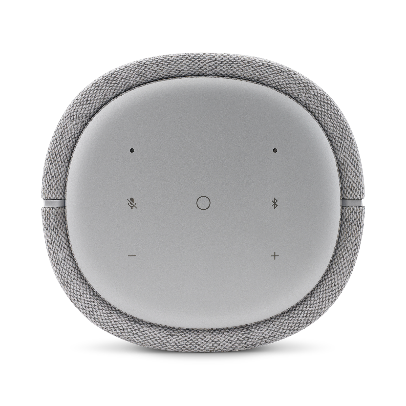 Multiroom speaker Harman Kardon Citation 100 MKII grijs