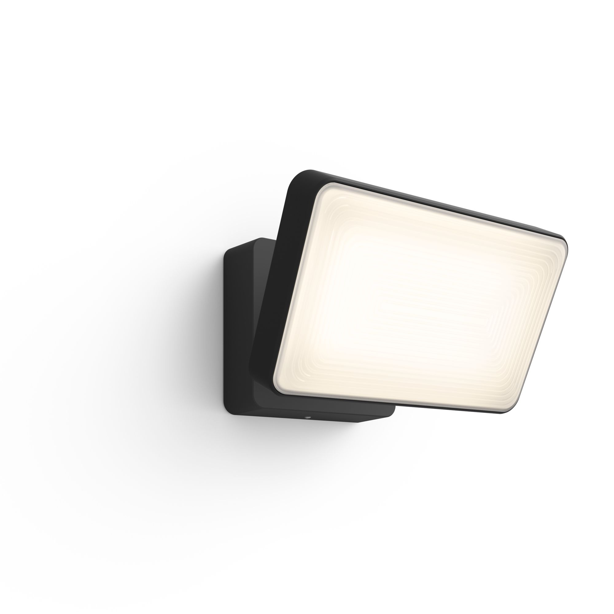 Outdoor PHILIPS HUE White Welcome Schijnwerper