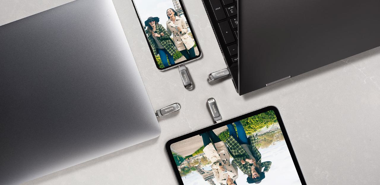 Sandisk Clé USB/Type-C 3.1 Gen1 Ultra Dual Drive Luxe, 256GB, 150MB/s, Argenté
