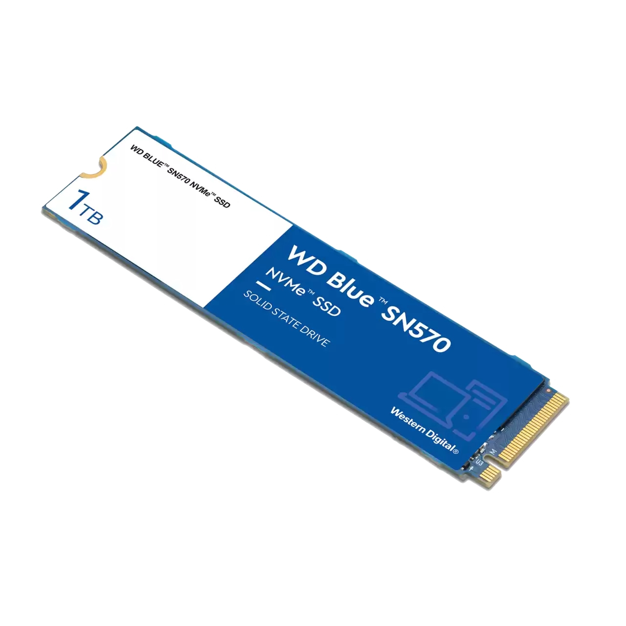 Western Digital SSD Intern WDS100T3B0C