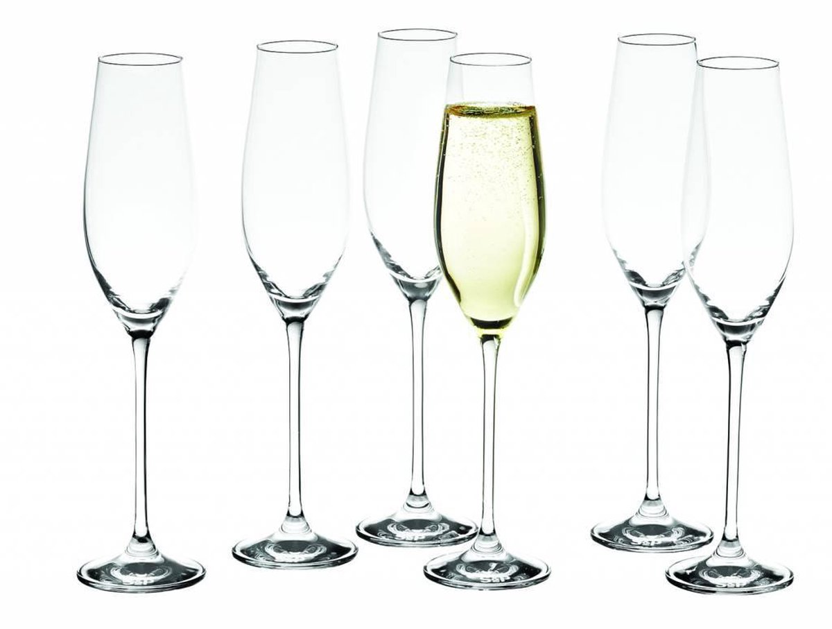 Champagneglas S&P SP30962 Cuvee 21cl set/6