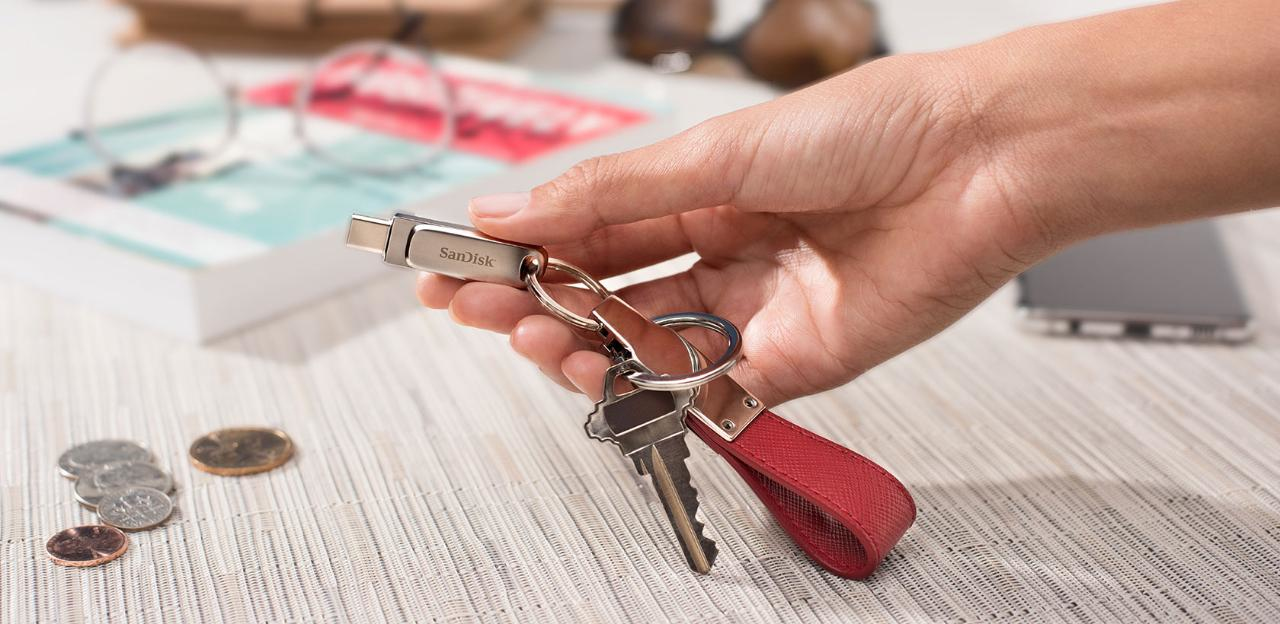 Sandisk Clé USB/Type-C 3.1 Gen1 Ultra Dual Drive Luxe, 256GB, 150MB/s, Argenté