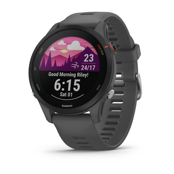 Sportwatch Garmin Forerunner 255 Slate Grey