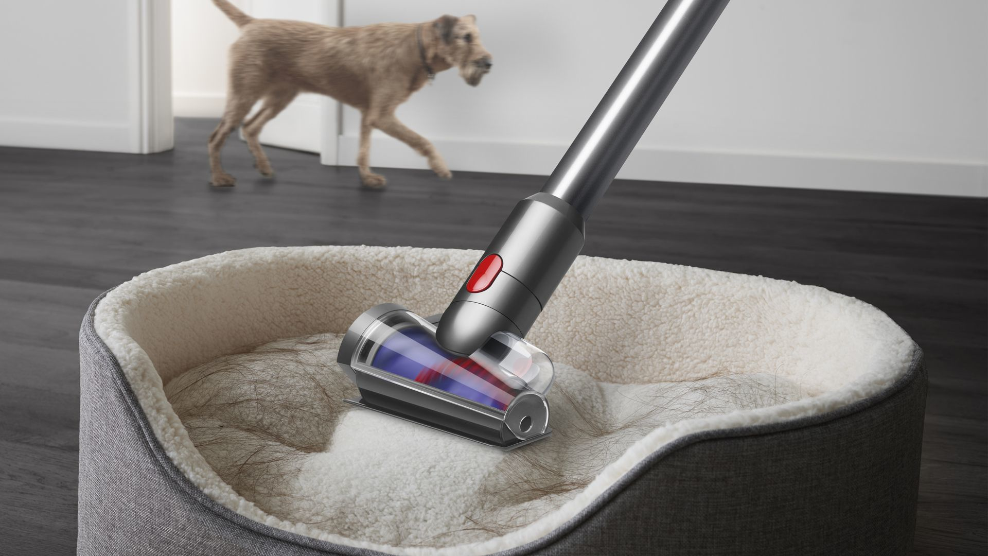 Steelstofzuiger DYSON 448884-01 V12 Detect Slim Absolute