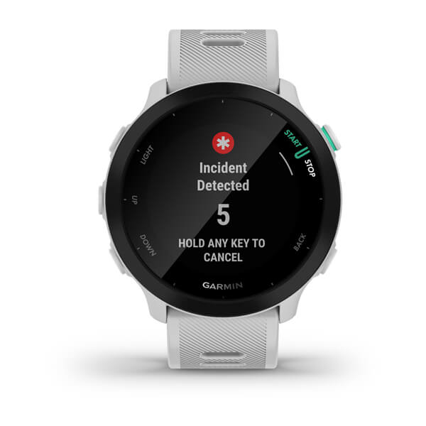 Smartwatch GARMIN FORERUNNER 55 WHITE