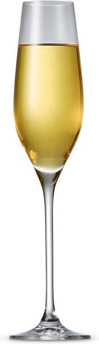 Champagneglas S&P SP30962 Cuvee 21cl set/6