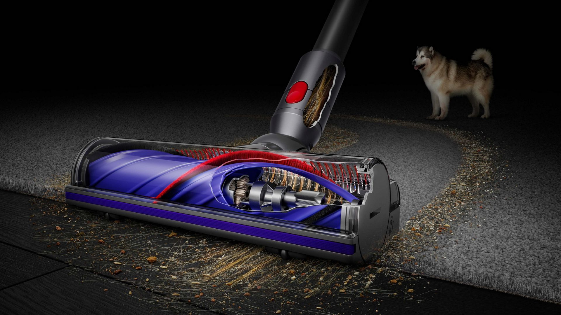 Steelstofzuiger DYSON 446969-01 V8 EU