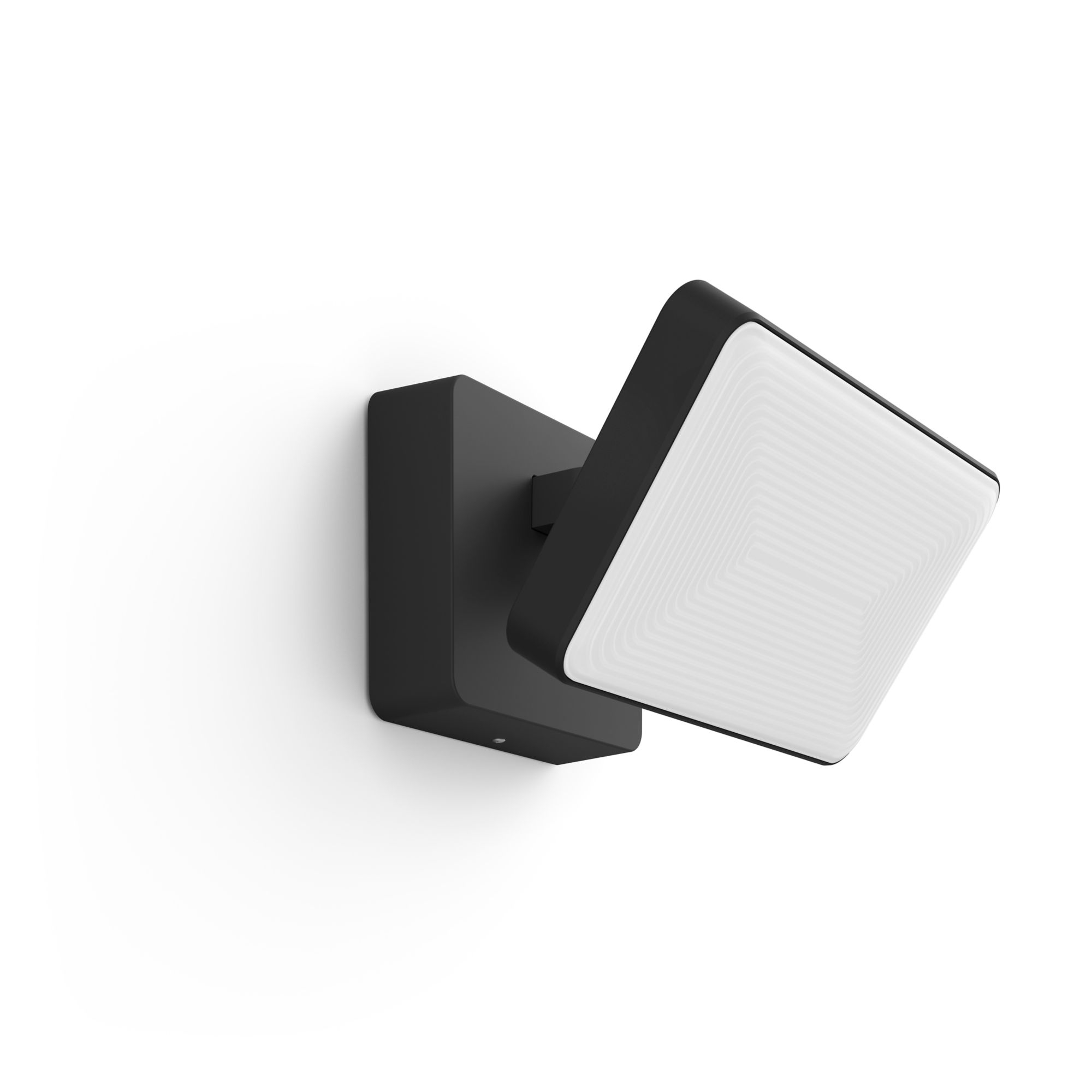 Outdoor PHILIPS HUE White Welcome Schijnwerper